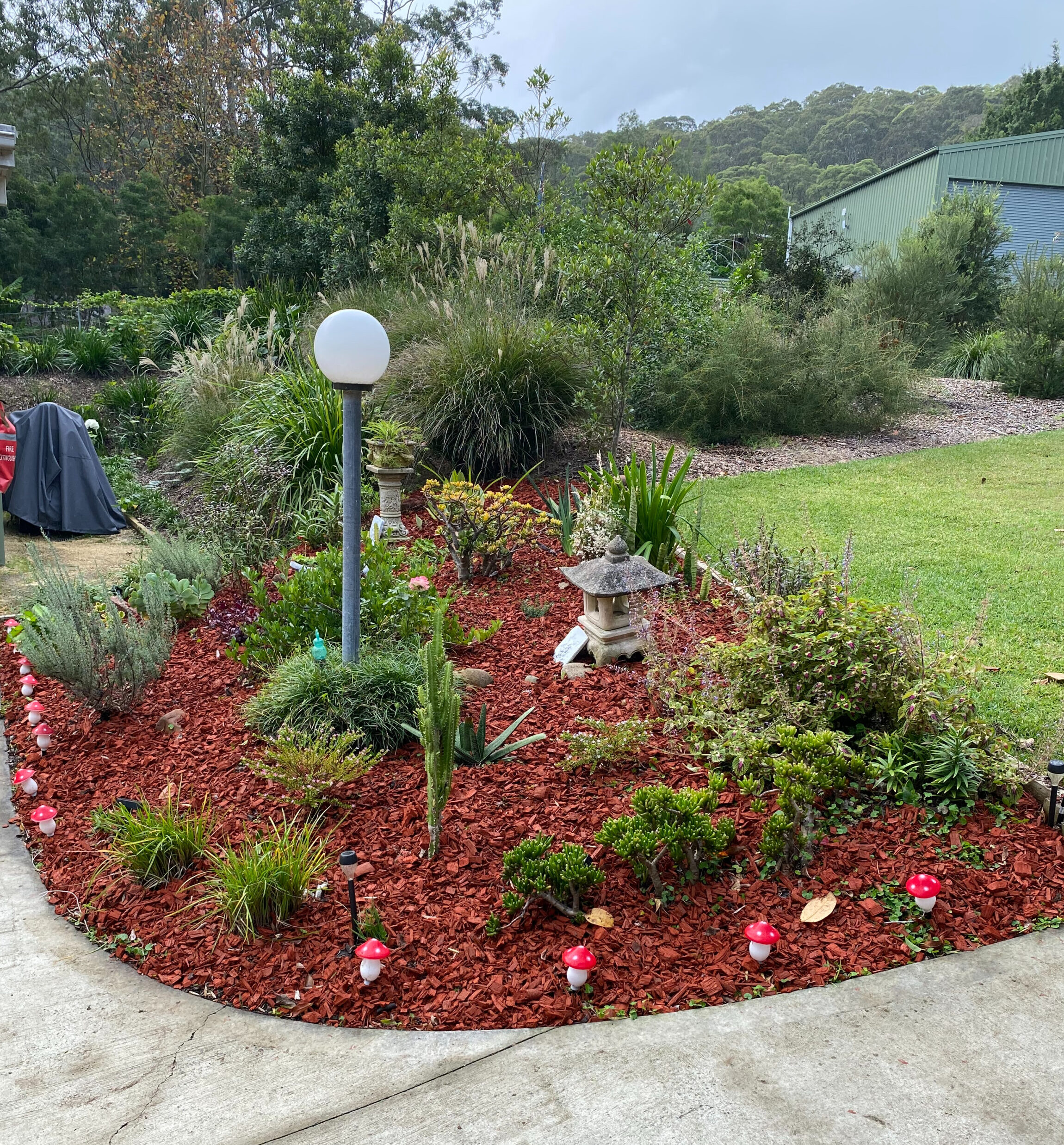 Garden (red mulch)