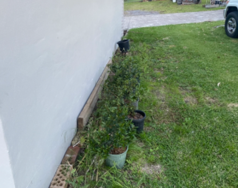 Before image