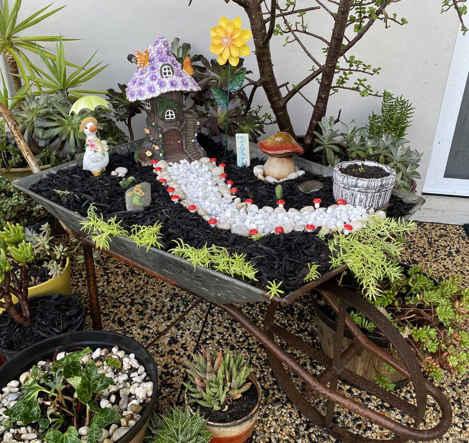 Fairy garden in wheelbarrow