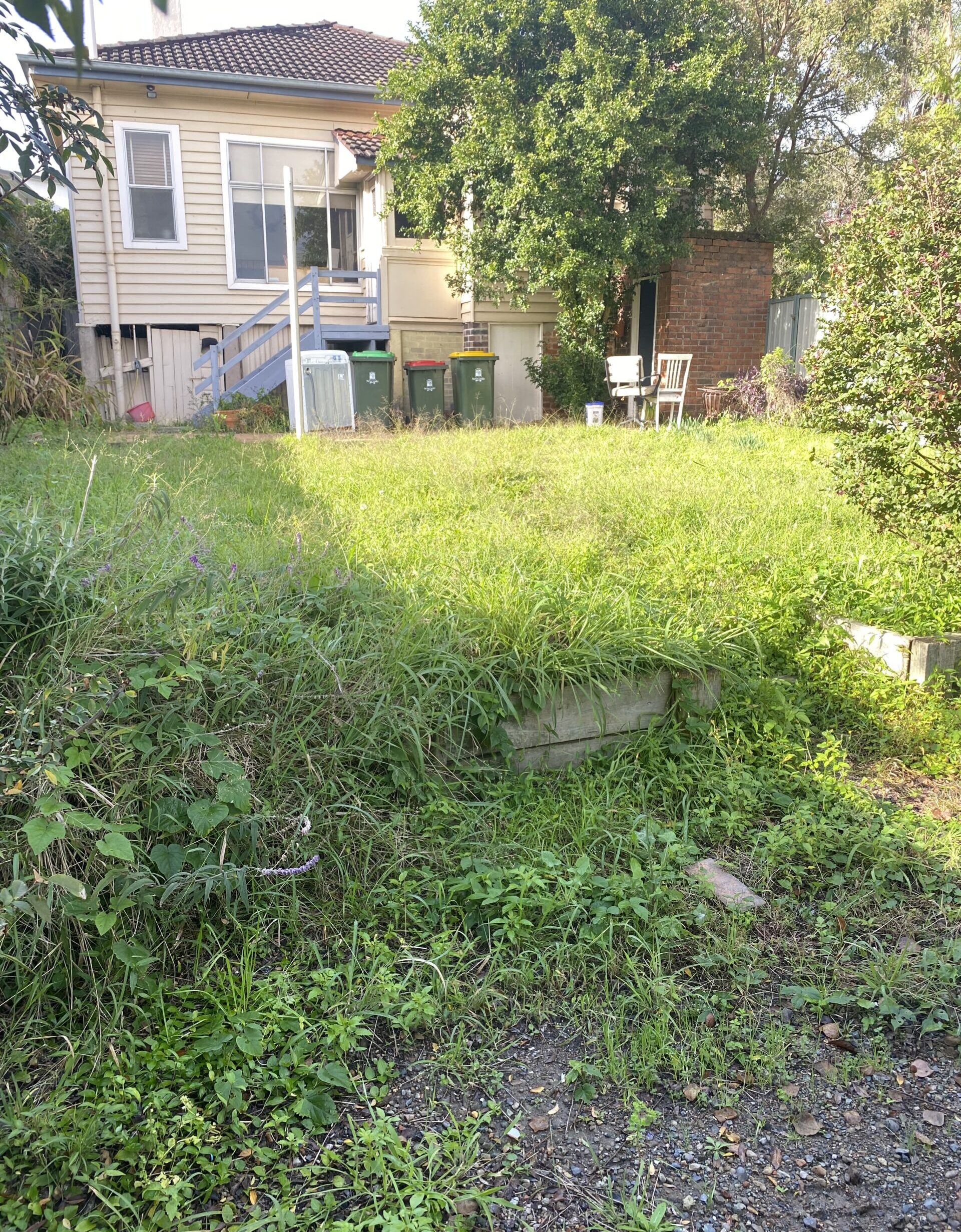 Before image